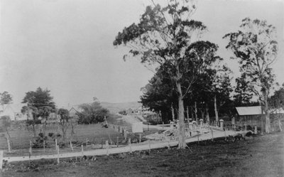 Puente sobre el río Waihoihoi hacia el municipio de Waipu, finales del siglo XIX de New Zealander Photographer